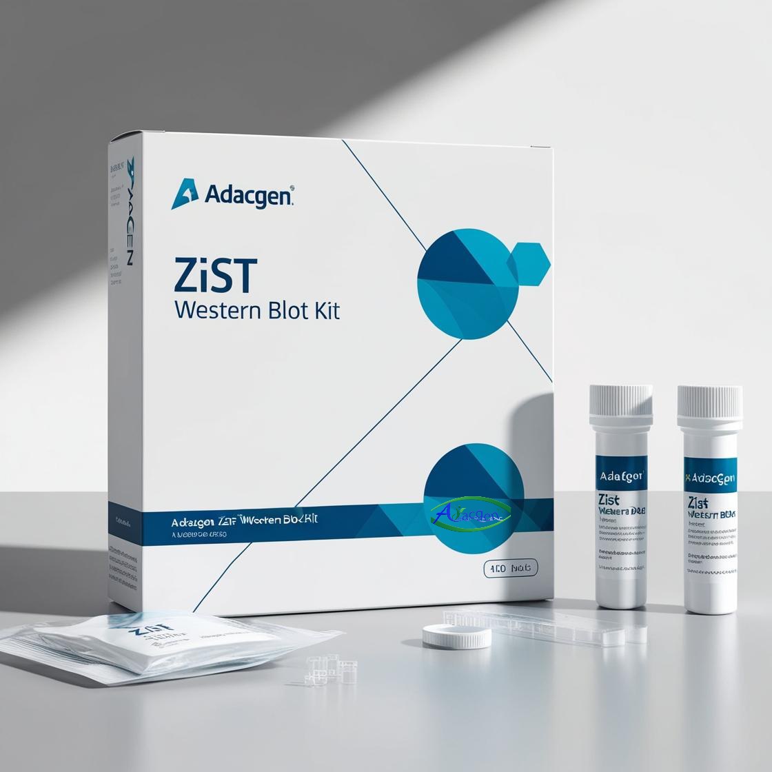 کیت وسترن بلات