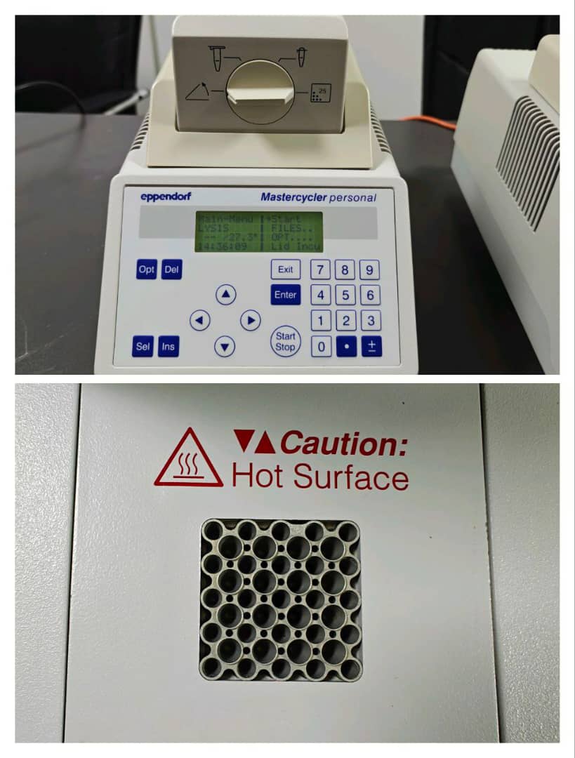 ترموسایکلر Mastercycler Personal