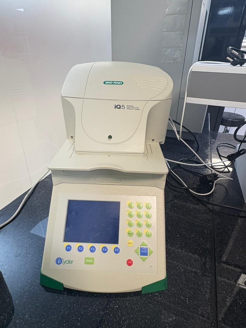 اجاره دستگاه Real-Time PCR (qPCR) – Bio-Rad iQ5